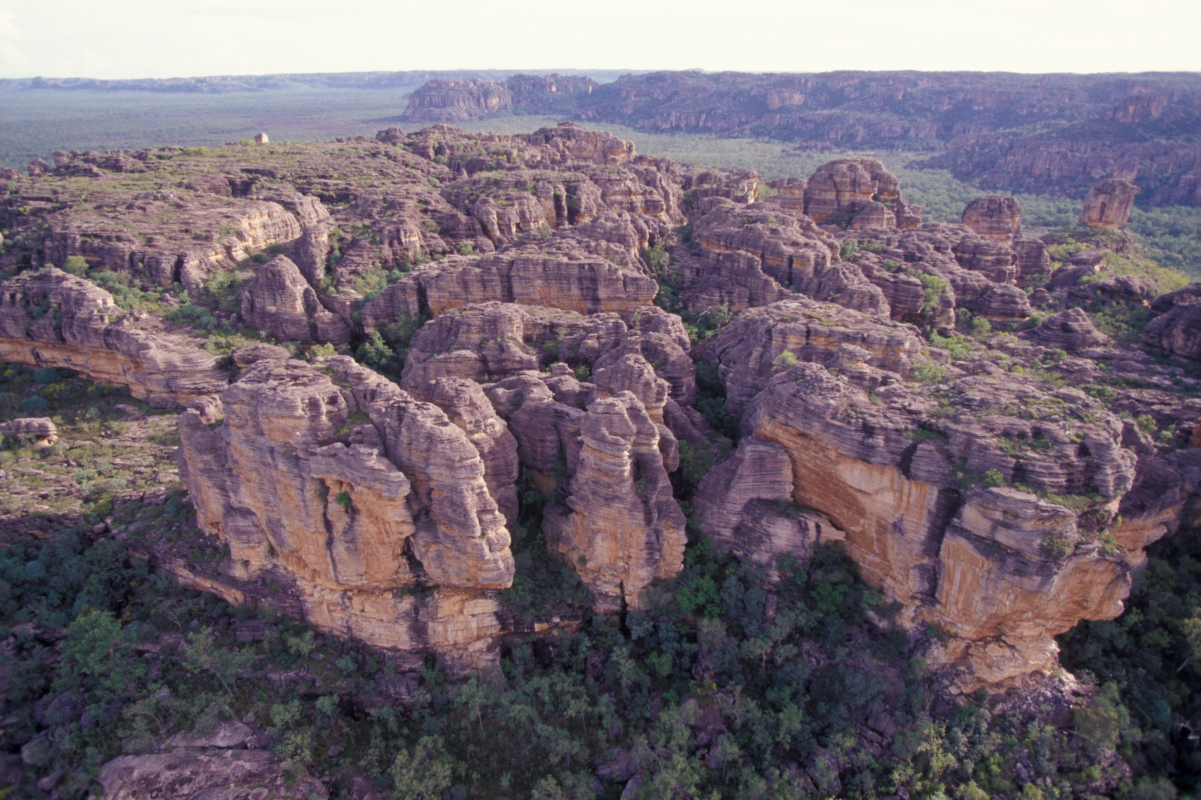 Arnhem_Land,_Northern_Territory[1].webp